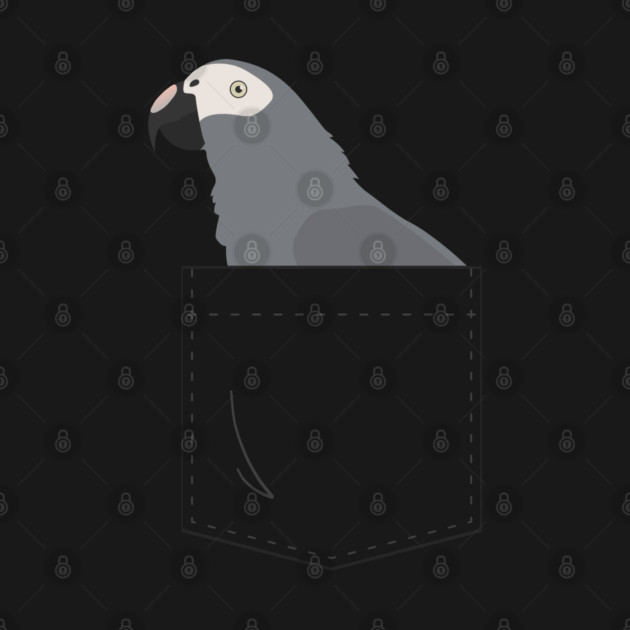 Timneh African Grey Parrot In Your Front Pocket by Einstein Parrot