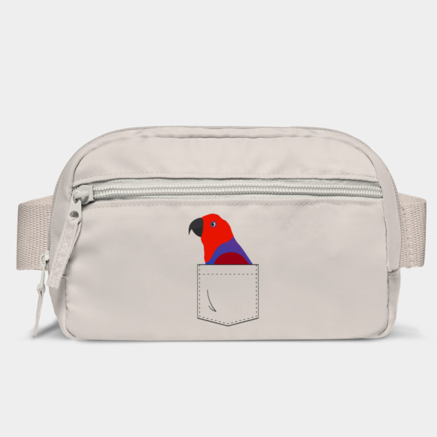 Eclectus Parrot Female In Your Front Pocket by Einstein Parrot