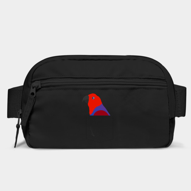 Eclectus Parrot Female In Your Front Pocket by Einstein Parrot