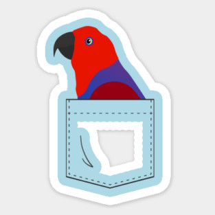 Eclectus Parrot Female In Your Front Pocket Sticker