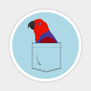 Eclectus Parrot Female In Your Front Pocket Magnet