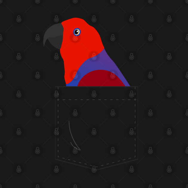 Eclectus Parrot Female In Your Front Pocket by Einstein Parrot