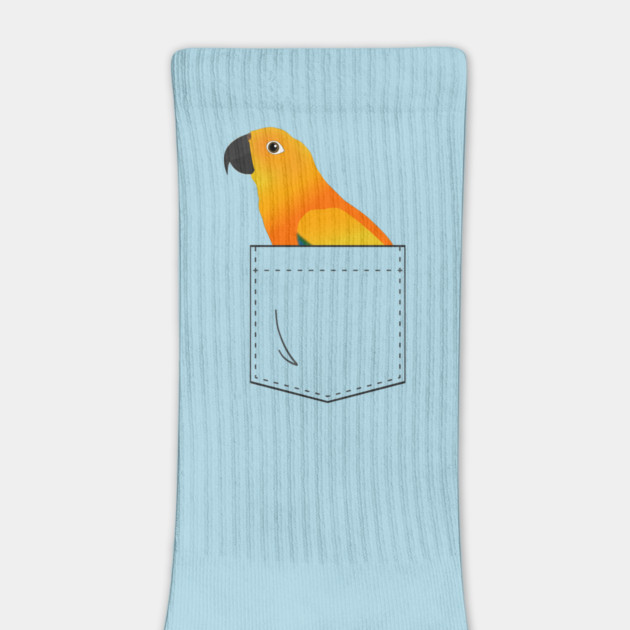 Sun Conure Parrot In Your Front Pocket by Einstein Parrot