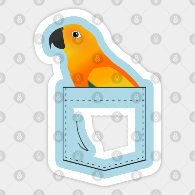 Sun Conure Parrot In Your Front Pocket Sticker by Einstein Parrot