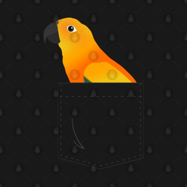 Sun Conure Parrot In Your Front Pocket by Einstein Parrot