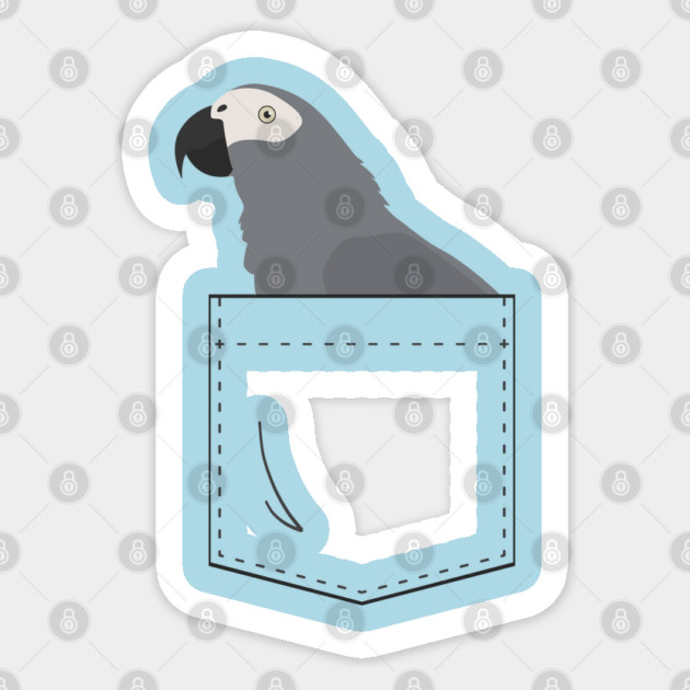 African Grey Parrot In Your Front Pocket Sticker by Einstein Parrot