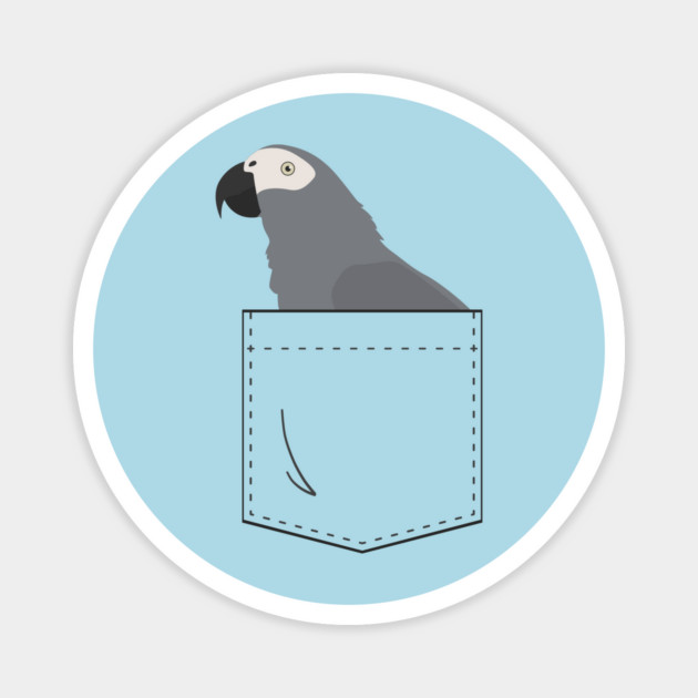 African Grey Parrot In Your Front Pocket Magnet by Einstein Parrot