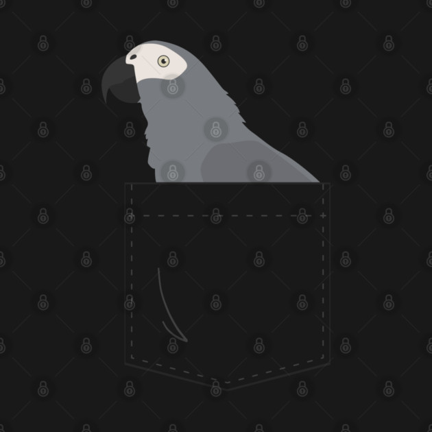African Grey Parrot In Your Front Pocket by Einstein Parrot