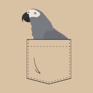 African Grey Parrot In Your Front Pocket T-Shirt