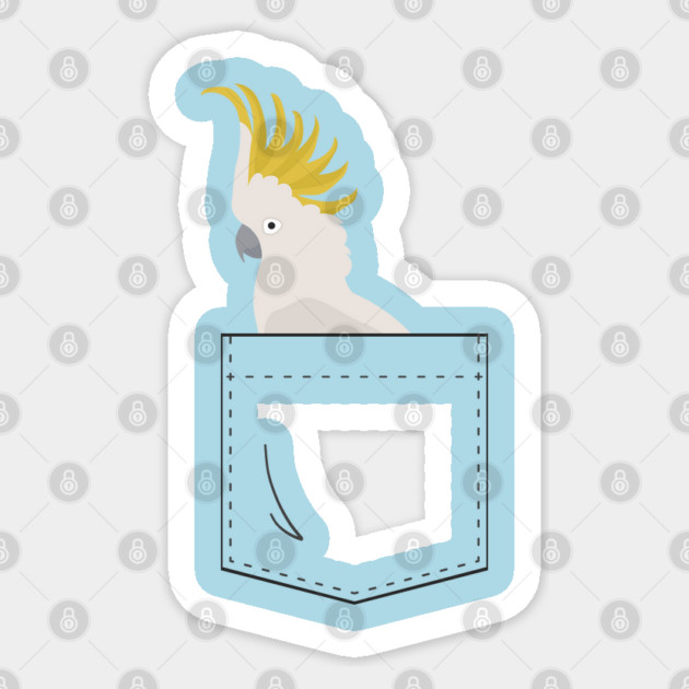 Cockatoo Parrot In Your Front Pocket Sticker by Einstein Parrot