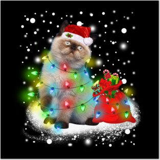 Himalayan cat Posters and Art