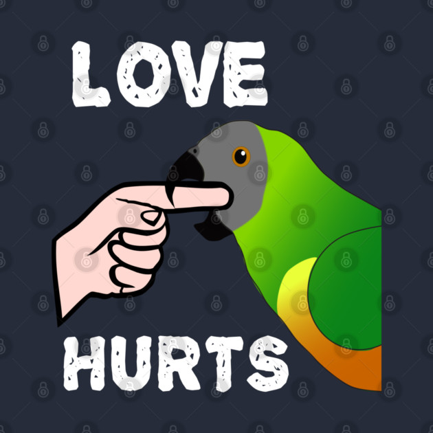 Love Hurts Senegal Parrot Biting by Einstein Parrot