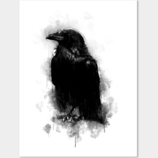 Raven Posters and Art