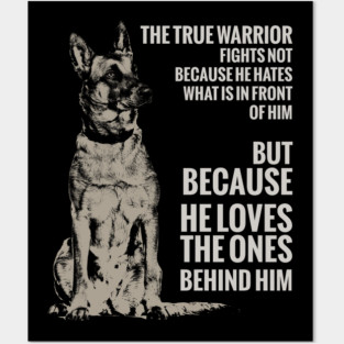 Malinois  - Belgian shepherd - Mechelaar Posters and Art