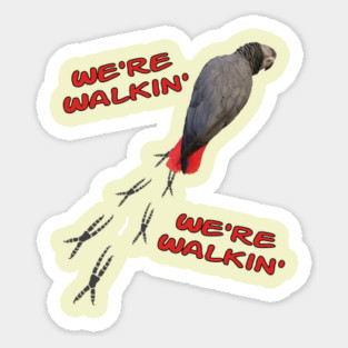 African Grey Parrot Walking Magnet