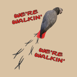 African Grey Parrot Walking T-Shirt