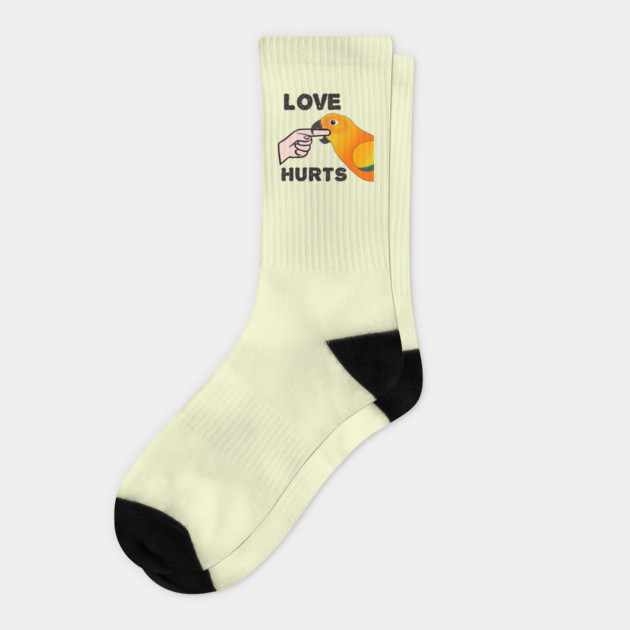 Love Hurts Sun Conure Parrot Biting Socks by Einstein Parrot