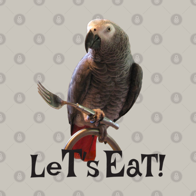 African Grey Parrot Let's Eat by Einstein Parrot