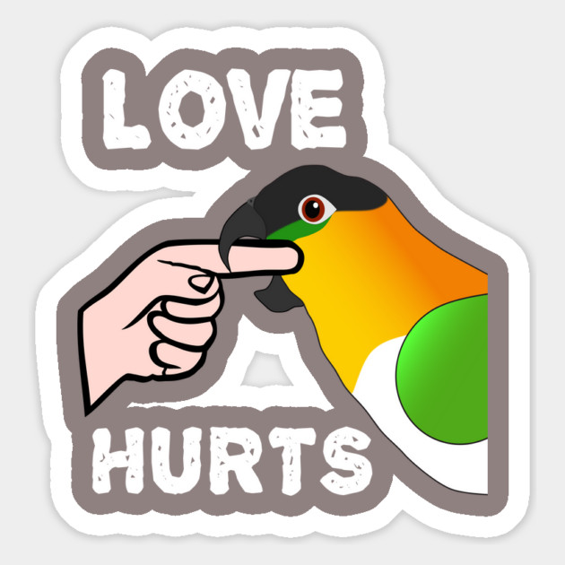 Black Headed Caique Parrot - Love Hurts Biting Magnet by Einstein Parrot