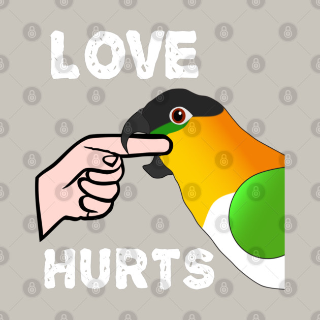 Black Headed Caique Parrot - Love Hurts Biting by Einstein Parrot
