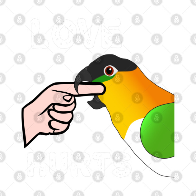 Black Headed Caique Parrot - Love Hurts Biting by Einstein Parrot