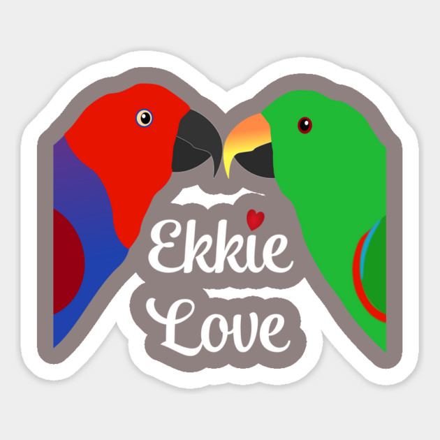 Eclectus Male Female Love Heart Magnet by Einstein Parrot
