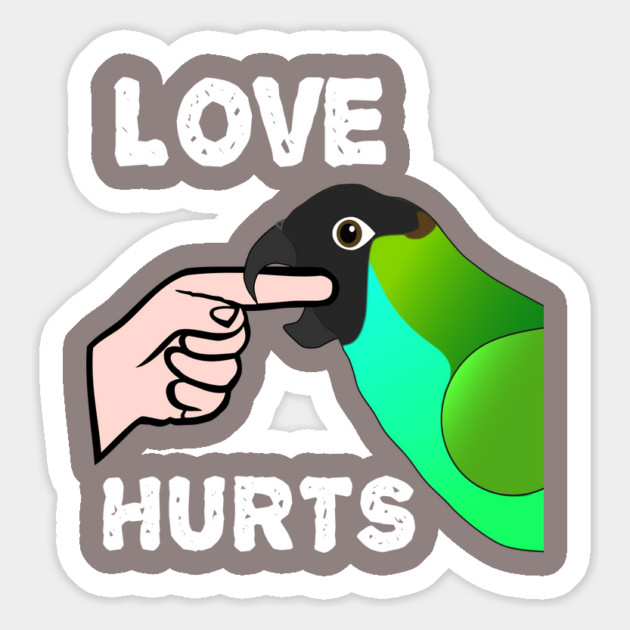 Love Hurts Nanday Conure Parrot Biting Magnet by Einstein Parrot