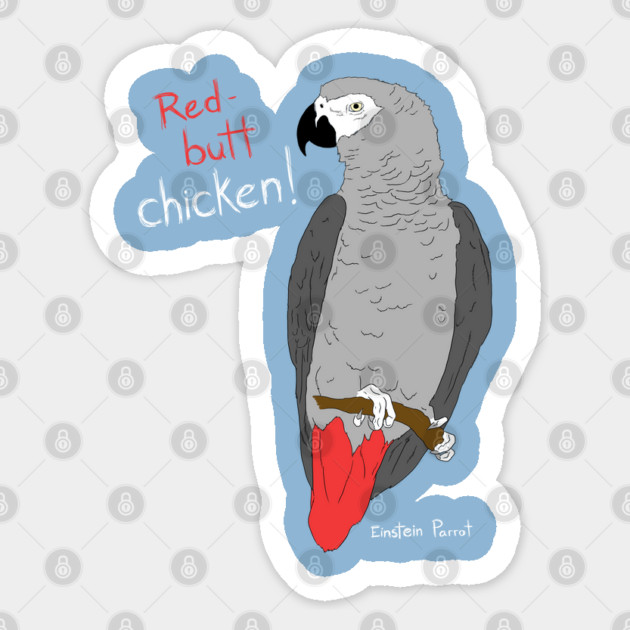 African Grey Parrot Red Butt Chicken Sticker by Einstein Parrot