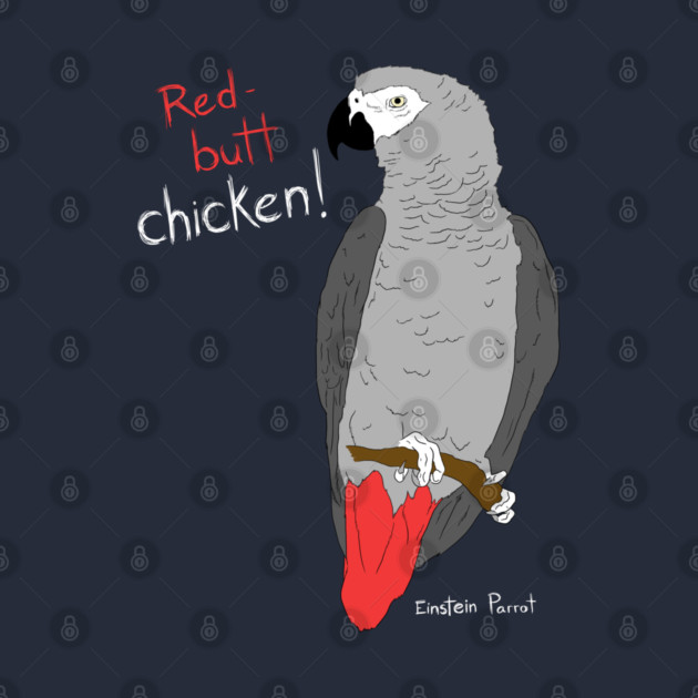 African Grey Parrot Red Butt Chicken by Einstein Parrot