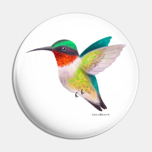 Hummingbird Pin