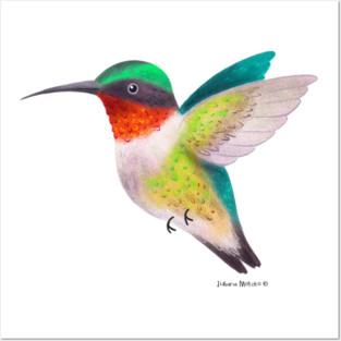Hummingbird Posters and Art
