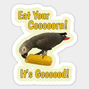Eat Your Corn African Grey Parrot Magnet