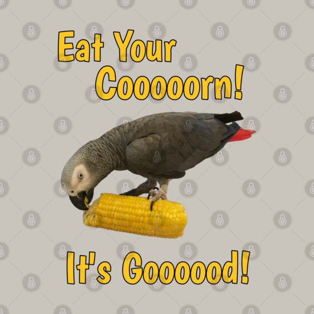 Eat Your Corn African Grey Parrot by Einstein Parrot