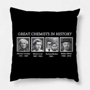 Great Chemists In History Pillow