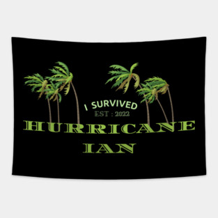 Hurricane Ian Tapestry