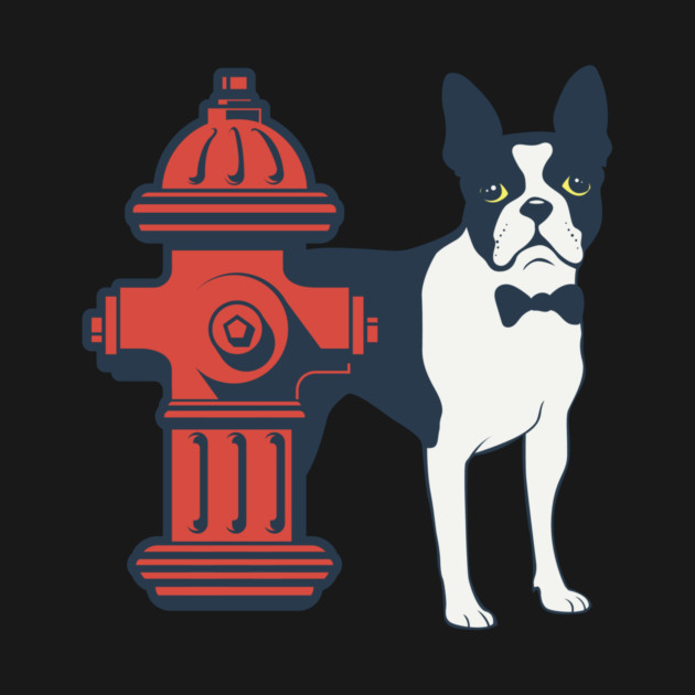 Boston Terrier by stayfrostybro