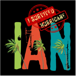 Hurricane Ian Posters and Art
