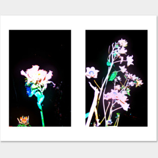 country flowers Posters and Art