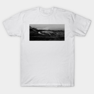 whale b&w T-Shirt