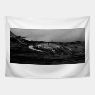 whale b&w Tapestry