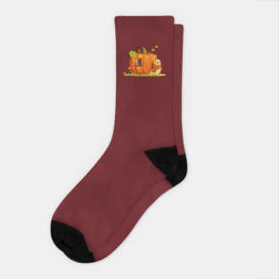 Pumpkin Snail Socks