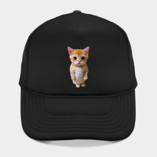 El Gato Munchkin Kitty Hat