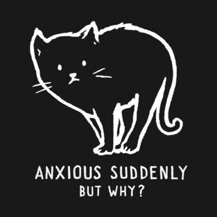 Anxious suddenly, but why? T-Shirt