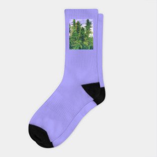 Budding Forest Socks