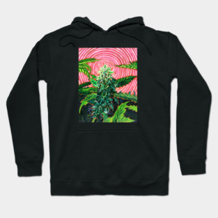 Big Bud Hoodie