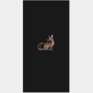 Owston's Civet Posters and Art