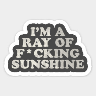 I'm a Ray of F*cking Sunshine Magnet