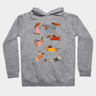Cute Dachshunds in Winter Sweaters Hoodie