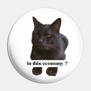 in this economy ? Pin