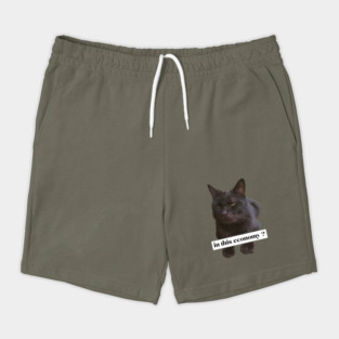 in this economy ? Shorts